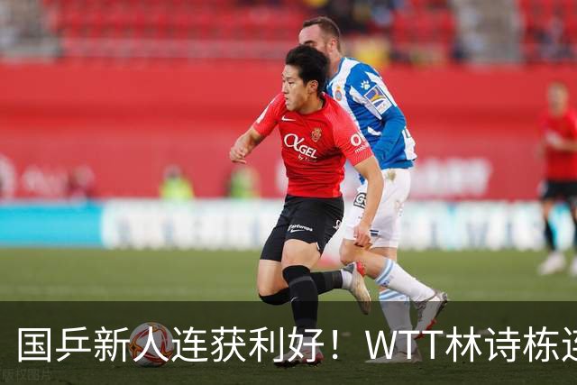 国乒新人连获利好！WTT林诗栋连克强敌，陈熠胜王曼昱，一冠开窍