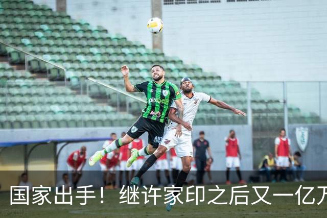 国家出手！继许家印之后又一亿万富豪落网，坑害百姓、恶行累累
