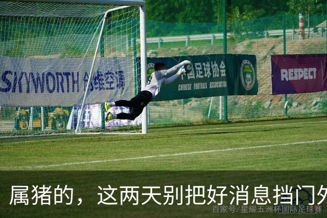 属猪的，这两天别把好消息挡门外