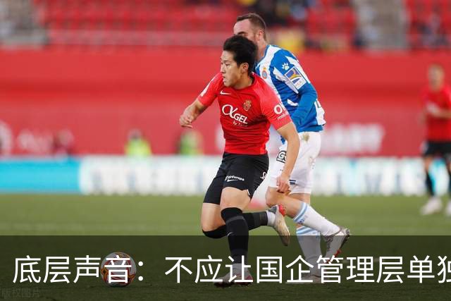 底层声音：不应让国企管理层单独“先富起来”，把风险留给职工