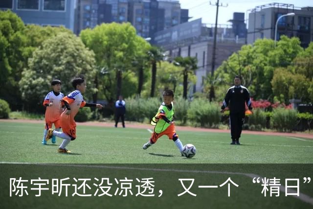 陈宇昕还没凉透，又一个“精日”人员被揪出来，竟然还是企业老板
